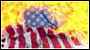 Protestors burn the US Flag