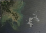 Oil slick (right) from the Deepwater Horizon disaster heads towards the US Mississippi Delta coastline (left) , photo NASA/MODIS Rapid Response Team Oil slick (right) from the Deepwater Horizon disaster heads towards the US Mississippi Delta coastline (left) , photo NASA/MODIS Rapid Response Team
