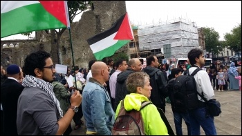 Stop the war on Gaza, demo in Swansea, photo by E. Schluessel