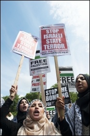 Huge protests have taken place internationally against the Israeli assault on Gaza, photo Paul Mattsson