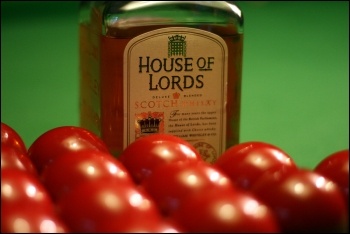 House of Lords Scotch whiskey baize booze, photo comedy_nose (Creative Commons