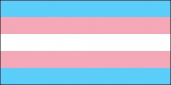 The transgender pride flag