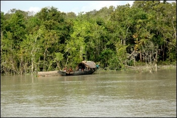 Bangladesh's threatened Sundarbans forest, photo Wikimedia Commons (Creative Commons)