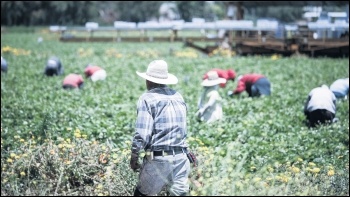 Migrant workers are often forced into low-paid, insecure manual work, like fruit picking, photo by Alex Proimos (Creative Commons)