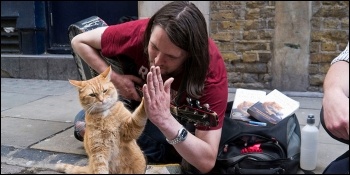 'A Street Cat Named Bob' charts the material and social difficulties faced by a recovering addict