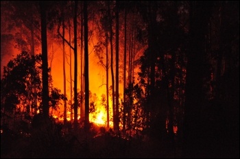 A 2011 forest fire in Portugal photo Anagh/CC