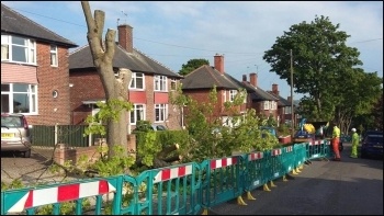 'Chainsaw massacre', Sheffield trees, photo Graham Turnbull, STAG