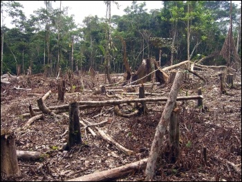 Bolsonaro's Amazon deforestation policies would hasten climate change, photo by Matt Zimmerman/CC