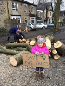 Sheffield Trees campaign, photo Sheffield Tree Action Groups