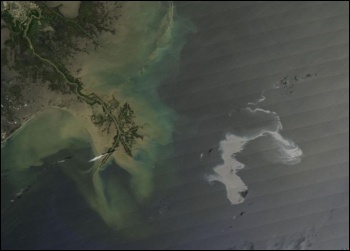 Oil slick (right) from the Deepwater Horizon disaster heads towards the US Mississippi Delta coastline (left), photo by NASA/MODIS Rapid Response Team