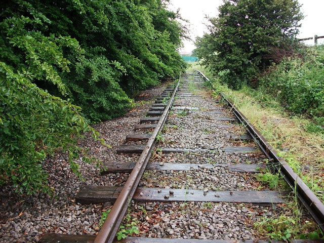 Disused railway near Ellesmere Port. Photo: John Brightley/CC