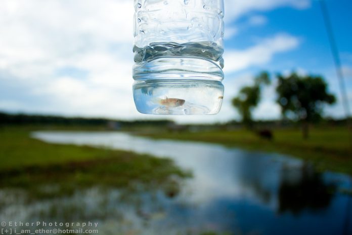 Water Pollution. Photo: Public Domain