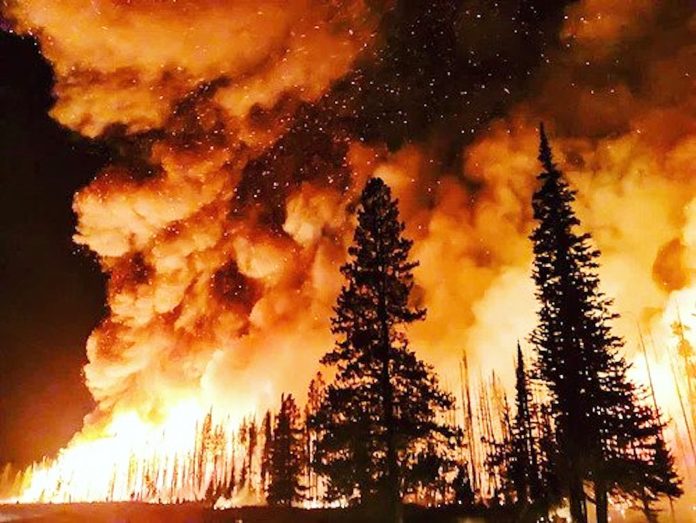 Wildfire. Photo: Public Domain