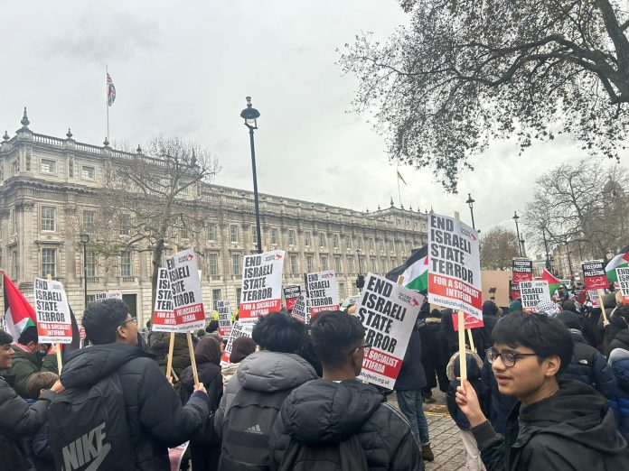 Palestine walkout - Lenny Shail London Student walkout