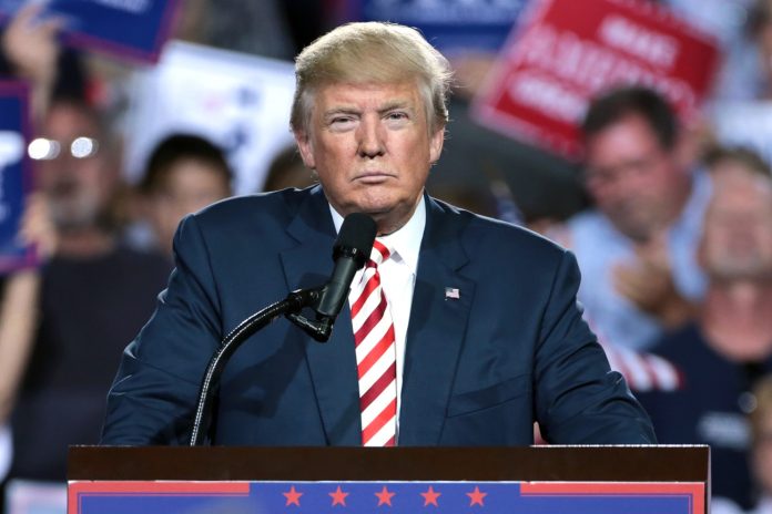 Donald Trump. Photo: Gage Skidmore/CC