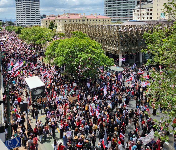 Maori protest on Lambton Quay, Wellington. Photo: Ballofstring/CC