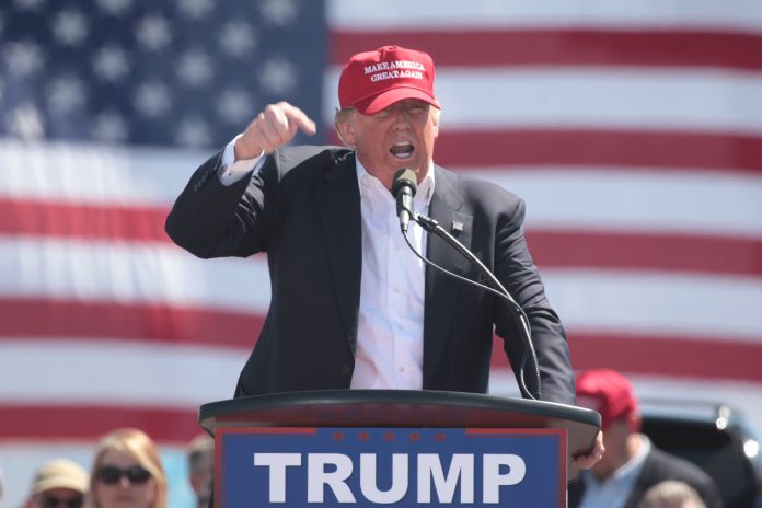 Donald Trump. Photo: Gage Skidmore/CC