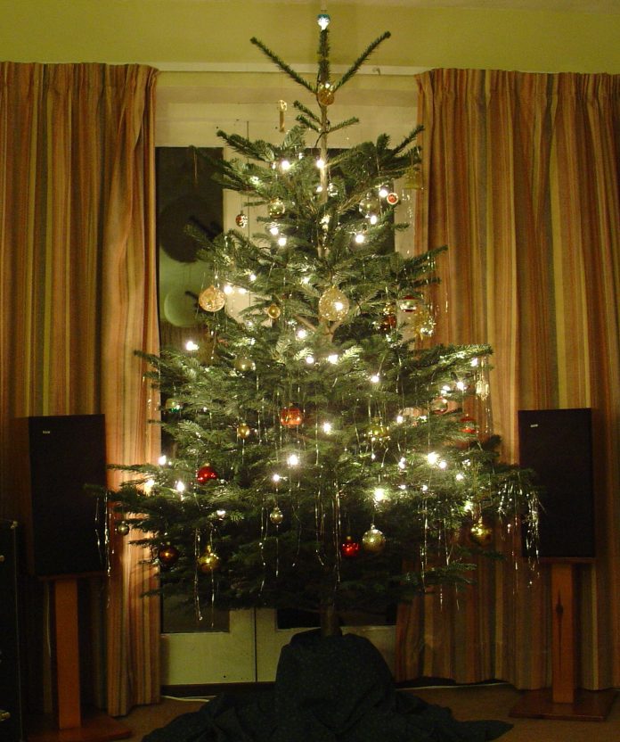 Christmas_tree_2005_cropped_(72780270) Photo: Andy Fogg/CC