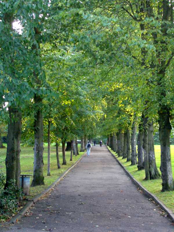 Alexandra_park_avenue Photo: Salimfadhley/CC