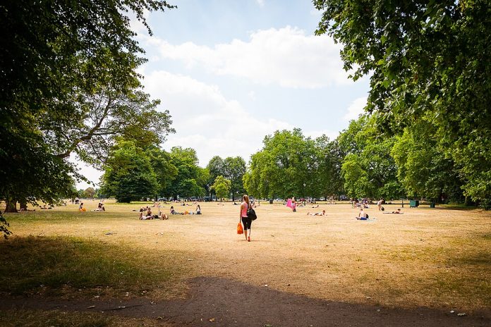 A girl walking through a dry park with brown grass Photo: Mark Ramsay/CC