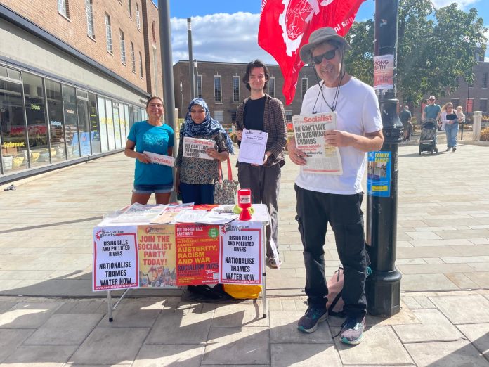 Haringey mega day stall