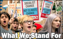 What We Stand For What We Stand For